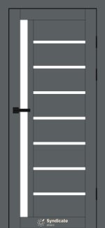 Двери SD-101 Syndicate Doors эмалия графитико