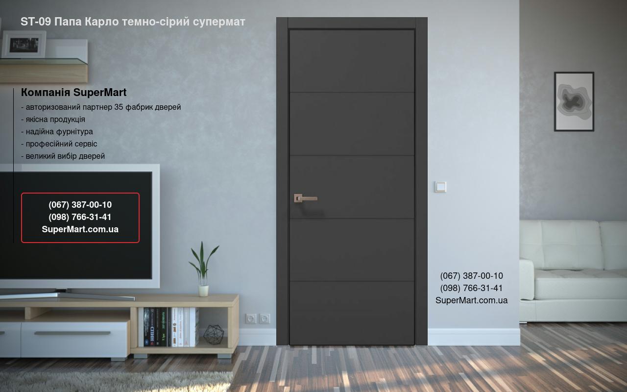 Двери ST-09 Папа Карло темно-серый супермат торцы алюминий черный